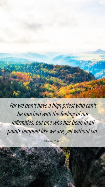 Picture 06 - Hebrews 4:15 WEB Mobile Phone Wallpaper - For we don't have a high priest who can't be - Mobile Bible Verse Wallpaper