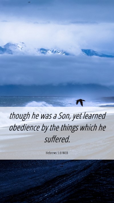 Picture 06 - Hebrews 5:8 WEB Mobile Phone Wallpaper - though he was a Son, yet learned obedience by the - Mobile Bible Verse Wallpaper