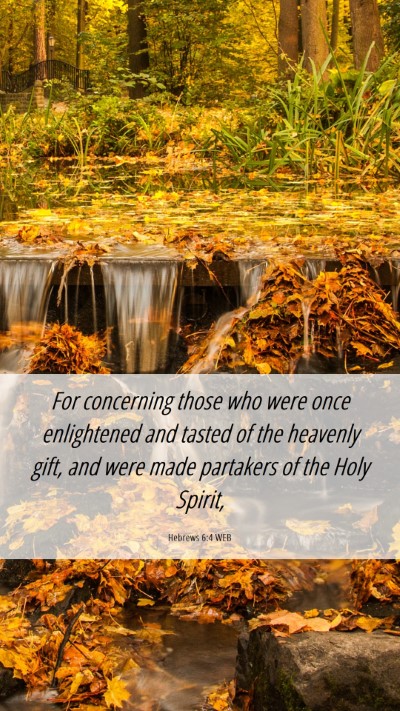 Picture 06 - Hebrews 6:4 WEB Mobile Phone Wallpaper - For concerning those who were once enlightened - Mobile Bible Verse Wallpaper