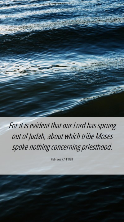 Picture 06 - Hebrews 7:14 WEB Mobile Phone Wallpaper - For it is evident that our Lord has sprung out of - Mobile Bible Verse Wallpaper