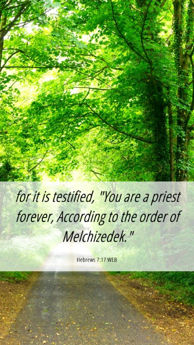 Picture 06 - Hebrews 7:17 WEB Mobile Phone Wallpaper - for it is testified, 