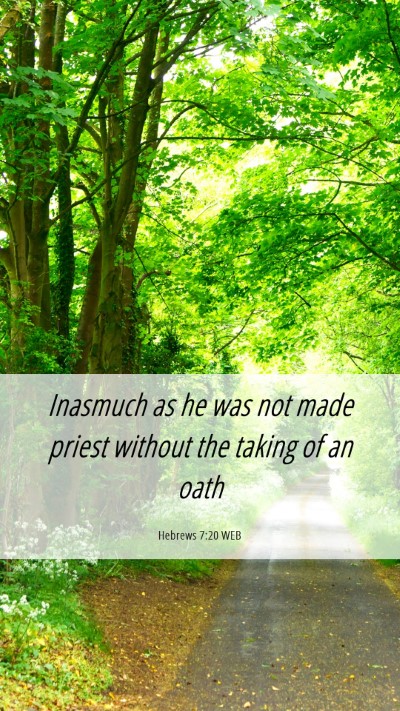 Picture 06 - Hebrews 7:20 WEB Mobile Phone Wallpaper - Inasmuch as he was not made priest without the - Mobile Bible Verse Wallpaper