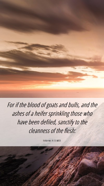 Picture 06 - Hebrews 9:13 WEB Mobile Phone Wallpaper - For if the blood of goats and bulls, and the - Mobile Bible Verse Wallpaper