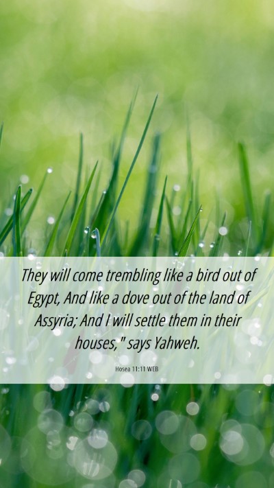 Picture 06 - Hosea 11:11 WEB Mobile Phone Wallpaper - They will come trembling like a bird out of - Mobile Bible Verse Wallpaper