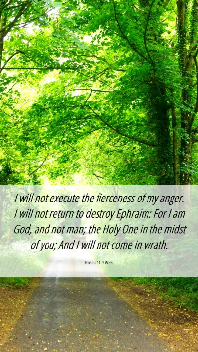 Picture 06 - Hosea 11:9 WEB Mobile Phone Wallpaper - I will not execute the fierceness of my anger. I - Mobile Bible Verse Wallpaper