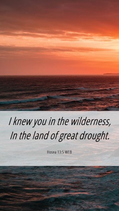 Picture 06 - Hosea 13:5 WEB Mobile Phone Wallpaper - I knew you in the wilderness, In the land of - Mobile Bible Verse Wallpaper