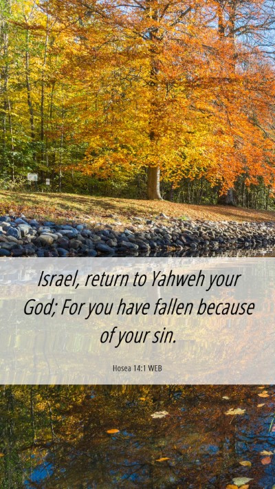 Picture 06 - Hosea 14:1 WEB Mobile Phone Wallpaper - Israel, return to Yahweh your God; For you have - Mobile Bible Verse Wallpaper