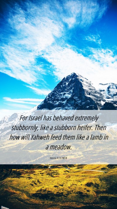 Picture 06 - Hosea 4:16 WEB Mobile Phone Wallpaper - For Israel has behaved extremely stubbornly, like - Mobile Bible Verse Wallpaper