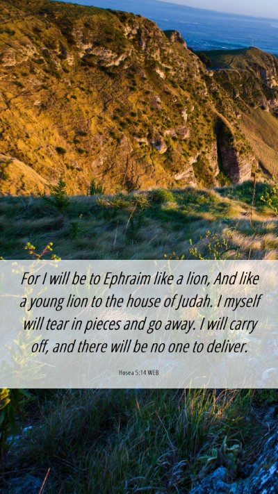Picture 06 - Hosea 5:14 WEB Mobile Phone Wallpaper - For I will be to Ephraim like a lion, And like a - Mobile Bible Verse Wallpaper
