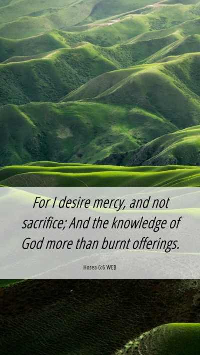 Picture 06 - Hosea 6:6 WEB Mobile Phone Wallpaper - For I desire mercy, and not sacrifice; And the - Mobile Bible Verse Wallpaper