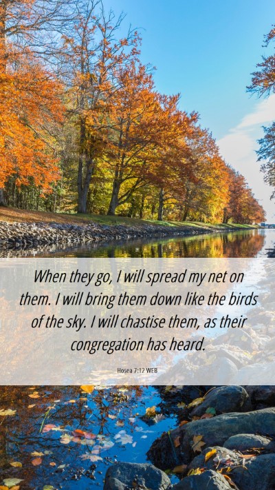Picture 06 - Hosea 7:12 WEB Mobile Phone Wallpaper - When they go, I will spread my net on them. I - Mobile Bible Verse Wallpaper
