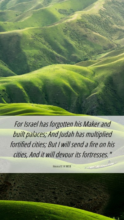Picture 06 - Hosea 8:14 WEB Mobile Phone Wallpaper - For Israel has forgotten his Maker and built - Mobile Bible Verse Wallpaper