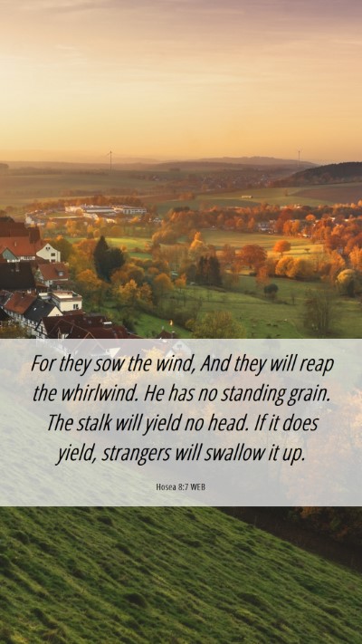 Picture 06 - Hosea 8:7 WEB Mobile Phone Wallpaper - For they sow the wind, And they will reap the - Mobile Bible Verse Wallpaper