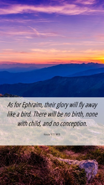Picture 06 - Hosea 9:11 WEB Mobile Phone Wallpaper - As for Ephraim, their glory will fly away like a - Mobile Bible Verse Wallpaper
