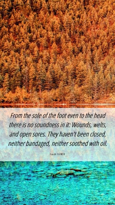 Picture 06 - Isaiah 1:6 WEB Mobile Phone Wallpaper - From the sole of the foot even to the head there - Mobile Bible Verse Wallpaper