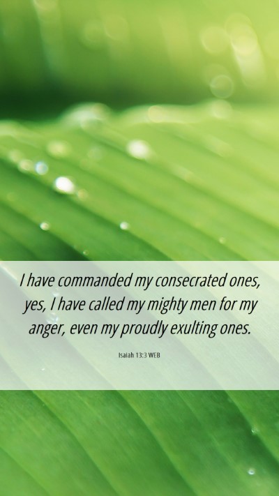 Picture 06 - Isaiah 13:3 WEB Mobile Phone Wallpaper - I have commanded my consecrated ones, yes, I have - Mobile Bible Verse Wallpaper