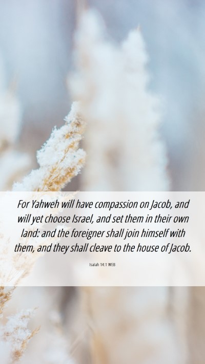 Picture 06 - Isaiah 14:1 WEB Mobile Phone Wallpaper - For Yahweh will have compassion on Jacob, and - Mobile Bible Verse Wallpaper