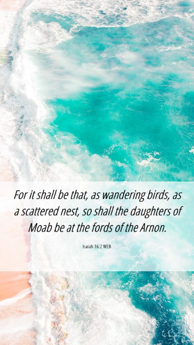 Picture 06 - Isaiah 16:2 WEB Mobile Phone Wallpaper - For it shall be that, as wandering birds, as a - Mobile Bible Verse Wallpaper