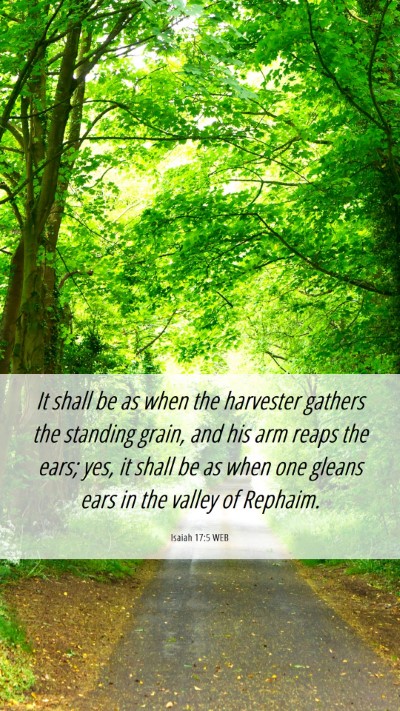 Picture 06 - Isaiah 17:5 WEB Mobile Phone Wallpaper - It shall be as when the harvester gathers the - Mobile Bible Verse Wallpaper