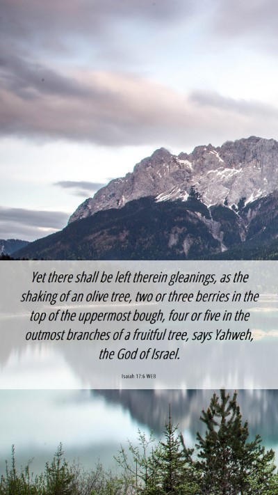 Picture 06 - Isaiah 17:6 WEB Mobile Phone Wallpaper - Yet there shall be left therein gleanings, as the - Mobile Bible Verse Wallpaper