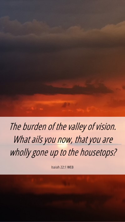 Picture 06 - Isaiah 22:1 WEB Mobile Phone Wallpaper - The burden of the valley of vision. What ails you - Mobile Bible Verse Wallpaper
