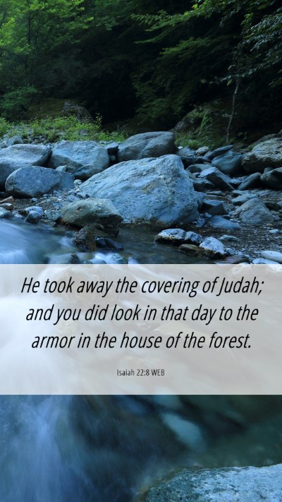 Picture 06 - Isaiah 22:8 WEB Mobile Phone Wallpaper - He took away the covering of Judah; and you did - Mobile Bible Verse Wallpaper