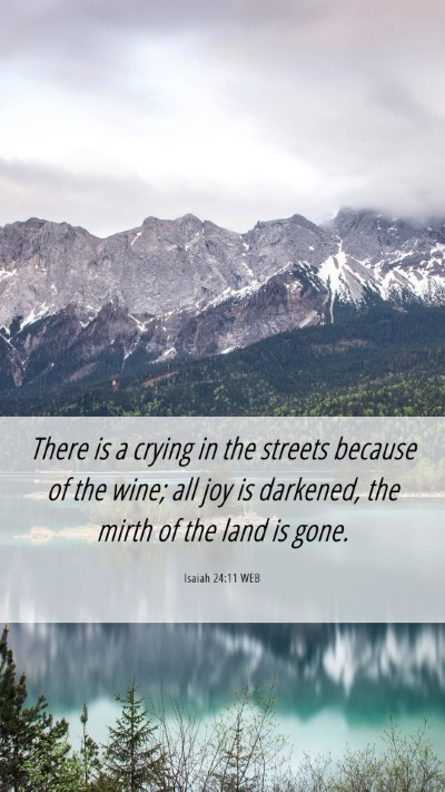 Picture 06 - Isaiah 24:11 WEB Mobile Phone Wallpaper - There is a crying in the streets because of the - Mobile Bible Verse Wallpaper
