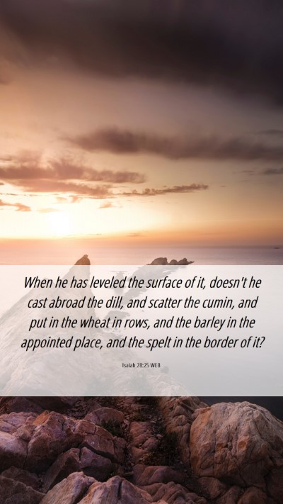 Picture 06 - Isaiah 28:25 WEB Mobile Phone Wallpaper - When he has leveled the surface of it, doesn't he - Mobile Bible Verse Wallpaper