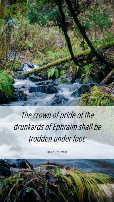 Picture 06 - Isaiah 28:3 WEB Mobile Phone Wallpaper - The crown of pride of the drunkards of Ephraim - Mobile Bible Verse Wallpaper