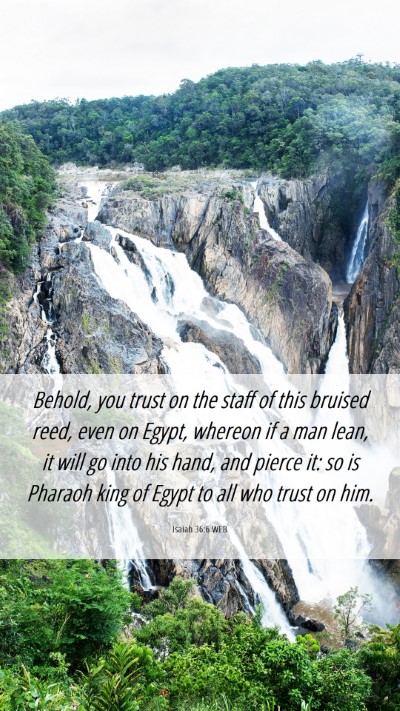 Picture 06 - Isaiah 36:6 WEB Mobile Phone Wallpaper - Behold, you trust on the staff of this bruised - Mobile Bible Verse Wallpaper