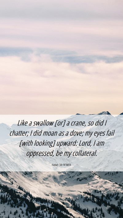 Picture 06 - Isaiah 38:14 WEB Mobile Phone Wallpaper - Like a swallow [or] a crane, so did I chatter; I - Mobile Bible Verse Wallpaper