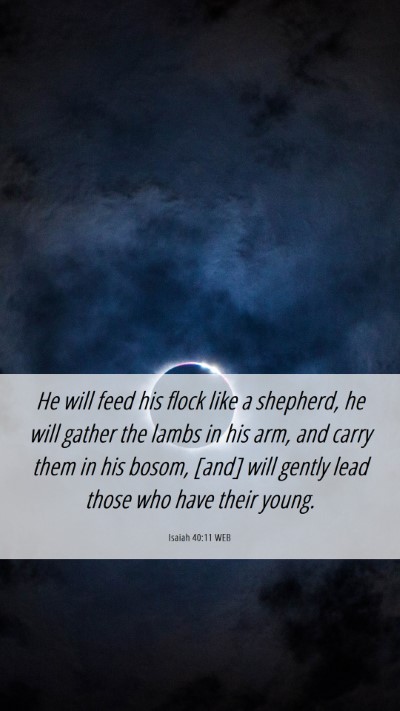 Picture 06 - Isaiah 40:11 WEB Mobile Phone Wallpaper - He will feed his flock like a shepherd, he will - Mobile Bible Verse Wallpaper
