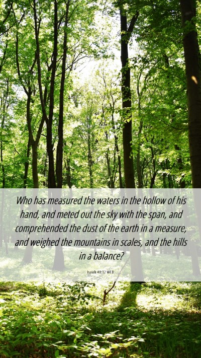 Picture 06 - Isaiah 40:12 WEB Mobile Phone Wallpaper - Who has measured the waters in the hollow of his - Mobile Bible Verse Wallpaper