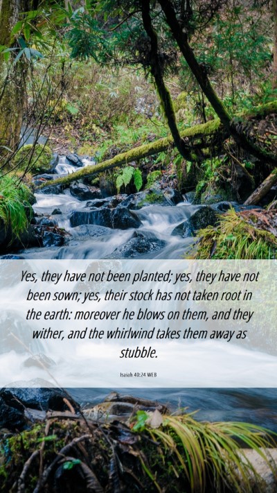 Picture 06 - Isaiah 40:24 WEB Mobile Phone Wallpaper - Yes, they have not been planted; yes, they have - Mobile Bible Verse Wallpaper