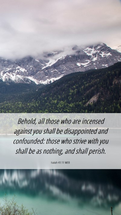 Picture 06 - Isaiah 41:11 WEB Mobile Phone Wallpaper - Behold, all those who are incensed against you - Mobile Bible Verse Wallpaper