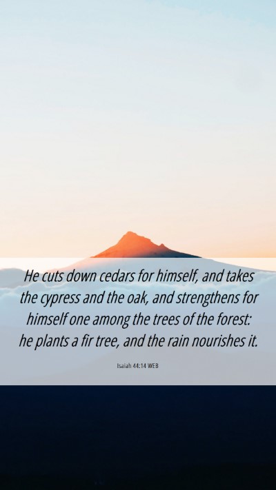 Picture 06 - Isaiah 44:14 WEB Mobile Phone Wallpaper - He cuts down cedars for himself, and takes the - Mobile Bible Verse Wallpaper