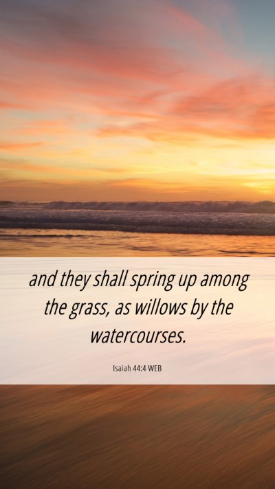 Picture 06 - Isaiah 44:4 WEB Mobile Phone Wallpaper - and they shall spring up among the grass, as - Mobile Bible Verse Wallpaper