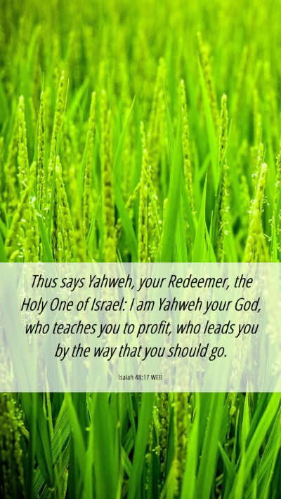 Picture 06 - Isaiah 48:17 WEB Mobile Phone Wallpaper - Thus says Yahweh, your Redeemer, the Holy One of - Mobile Bible Verse Wallpaper