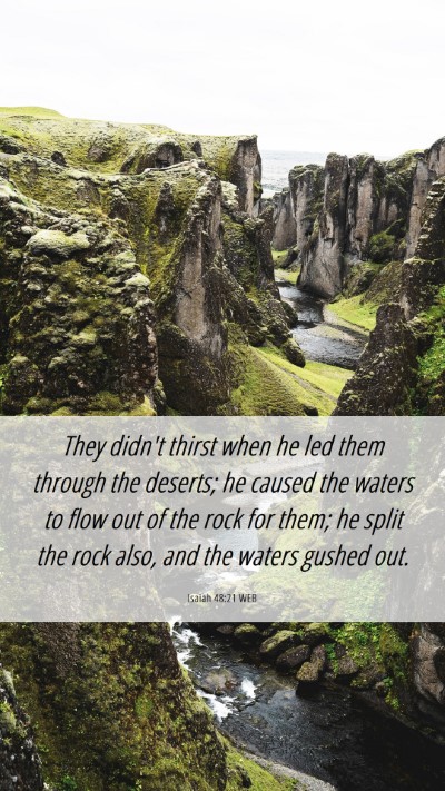 Picture 06 - Isaiah 48:21 WEB Mobile Phone Wallpaper - They didn't thirst when he led them through the - Mobile Bible Verse Wallpaper