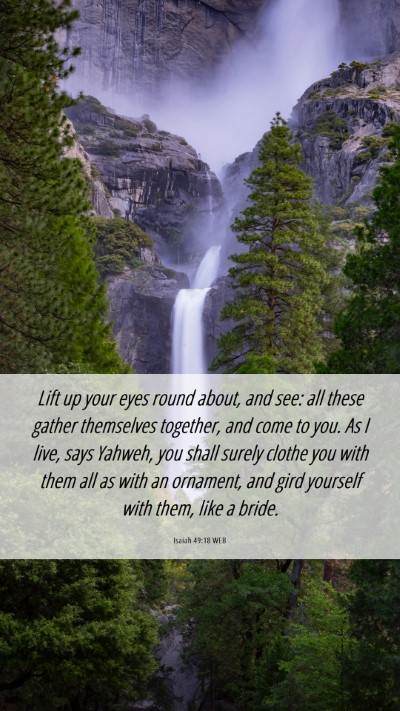 Picture 06 - Isaiah 49:18 WEB Mobile Phone Wallpaper - Lift up your eyes round about, and see: all these - Mobile Bible Verse Wallpaper