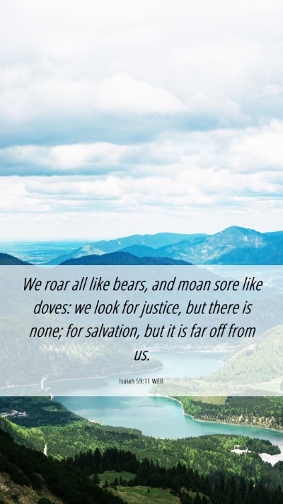Picture 06 - Isaiah 59:11 WEB Mobile Phone Wallpaper - We roar all like bears, and moan sore like doves: - Mobile Bible Verse Wallpaper