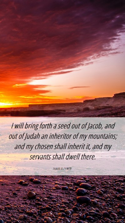 Picture 06 - Isaiah 65:9 WEB Mobile Phone Wallpaper - I will bring forth a seed out of Jacob, and out - Mobile Bible Verse Wallpaper
