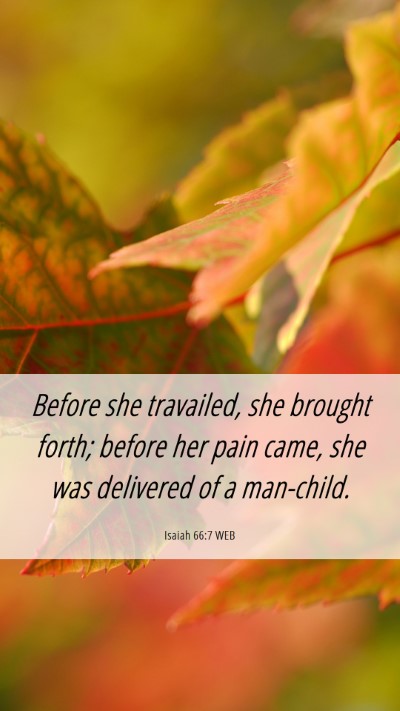 Picture 06 - Isaiah 66:7 WEB Mobile Phone Wallpaper - Before she travailed, she brought forth; before - Mobile Bible Verse Wallpaper