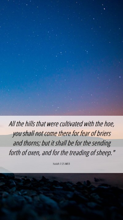 Picture 06 - Isaiah 7:25 WEB Mobile Phone Wallpaper - All the hills that were cultivated with the hoe, - Mobile Bible Verse Wallpaper