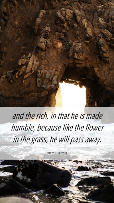 Picture 06 - James 1:10 WEB Mobile Phone Wallpaper - and the rich, in that he is made humble, because - Mobile Bible Verse Wallpaper
