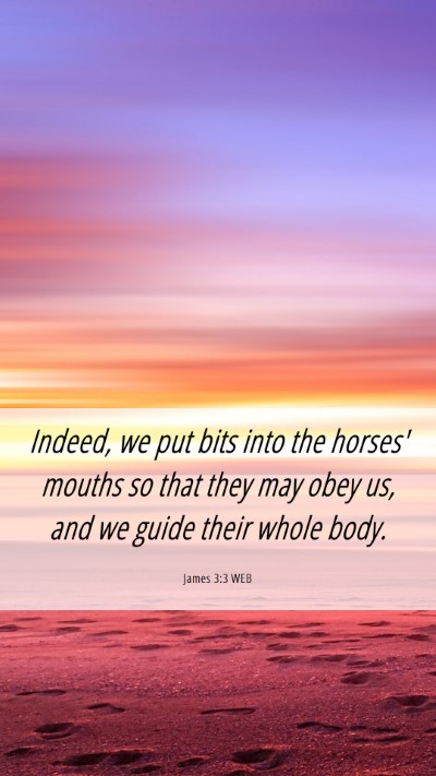 Picture 06 - James 3:3 WEB Mobile Phone Wallpaper - Indeed, we put bits into the horses' mouths so - Mobile Bible Verse Wallpaper