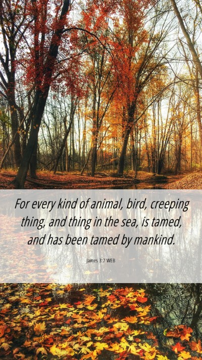 Picture 06 - James 3:7 WEB Mobile Phone Wallpaper - For every kind of animal, bird, creeping thing, - Mobile Bible Verse Wallpaper