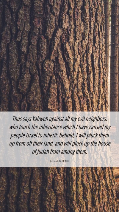 Picture 06 - Jeremiah 12:14 WEB Mobile Phone Wallpaper - Thus says Yahweh against all my evil neighbors, - Mobile Bible Verse Wallpaper