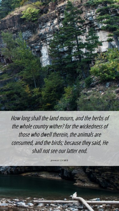 Picture 06 - Jeremiah 12:4 WEB Mobile Phone Wallpaper - How long shall the land mourn, and the herbs of - Mobile Bible Verse Wallpaper