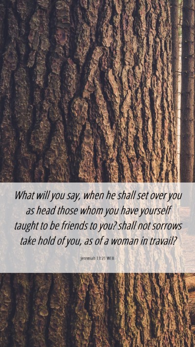 Picture 06 - Jeremiah 13:21 WEB Mobile Phone Wallpaper - What will you say, when he shall set over you as - Mobile Bible Verse Wallpaper